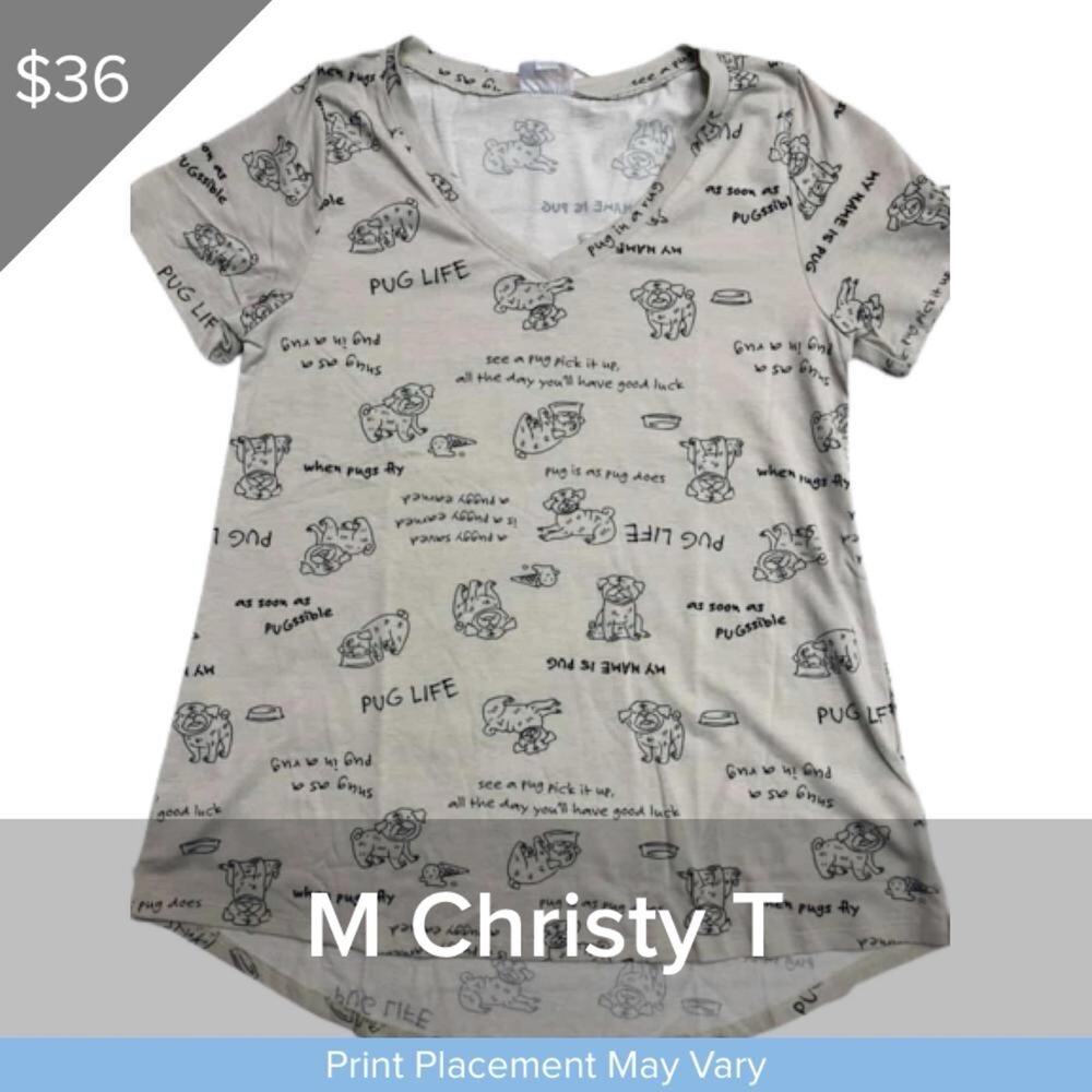 Pug v neck tee SIZE MEDIUM Christy